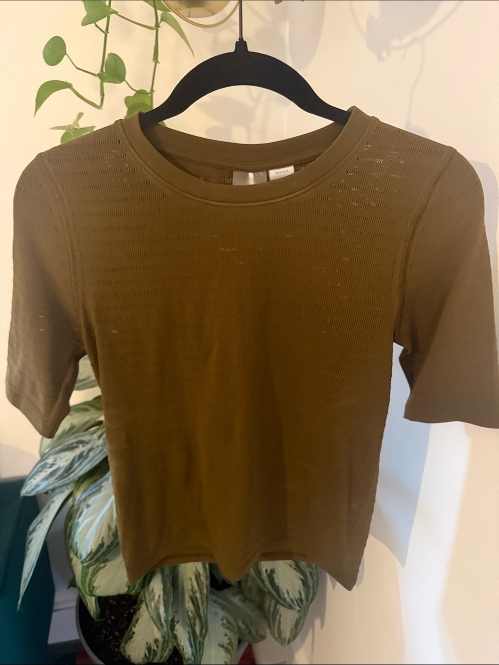 CALIA Olive Focus Seamless Crop Tee- Women - Picture 2 of 4